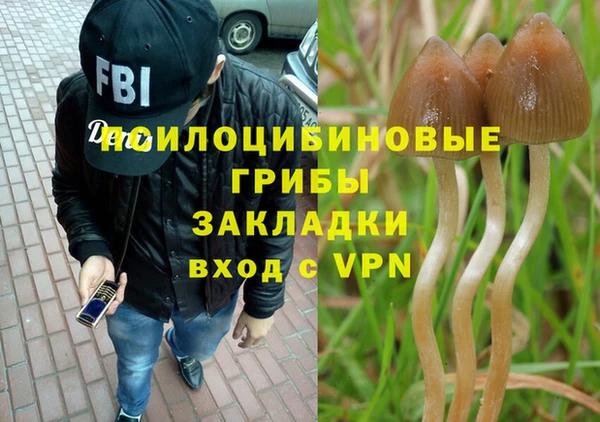 гашишное масло Алексеевка