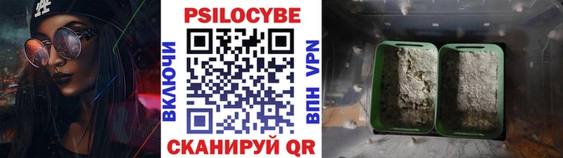 Галлюциногенные грибы прущие грибы  сколько стоит  Серов 