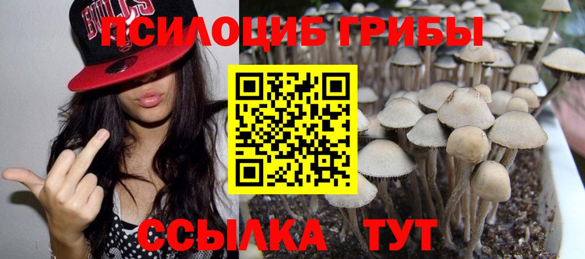 Галлюциногенные грибы Cubensis Серов